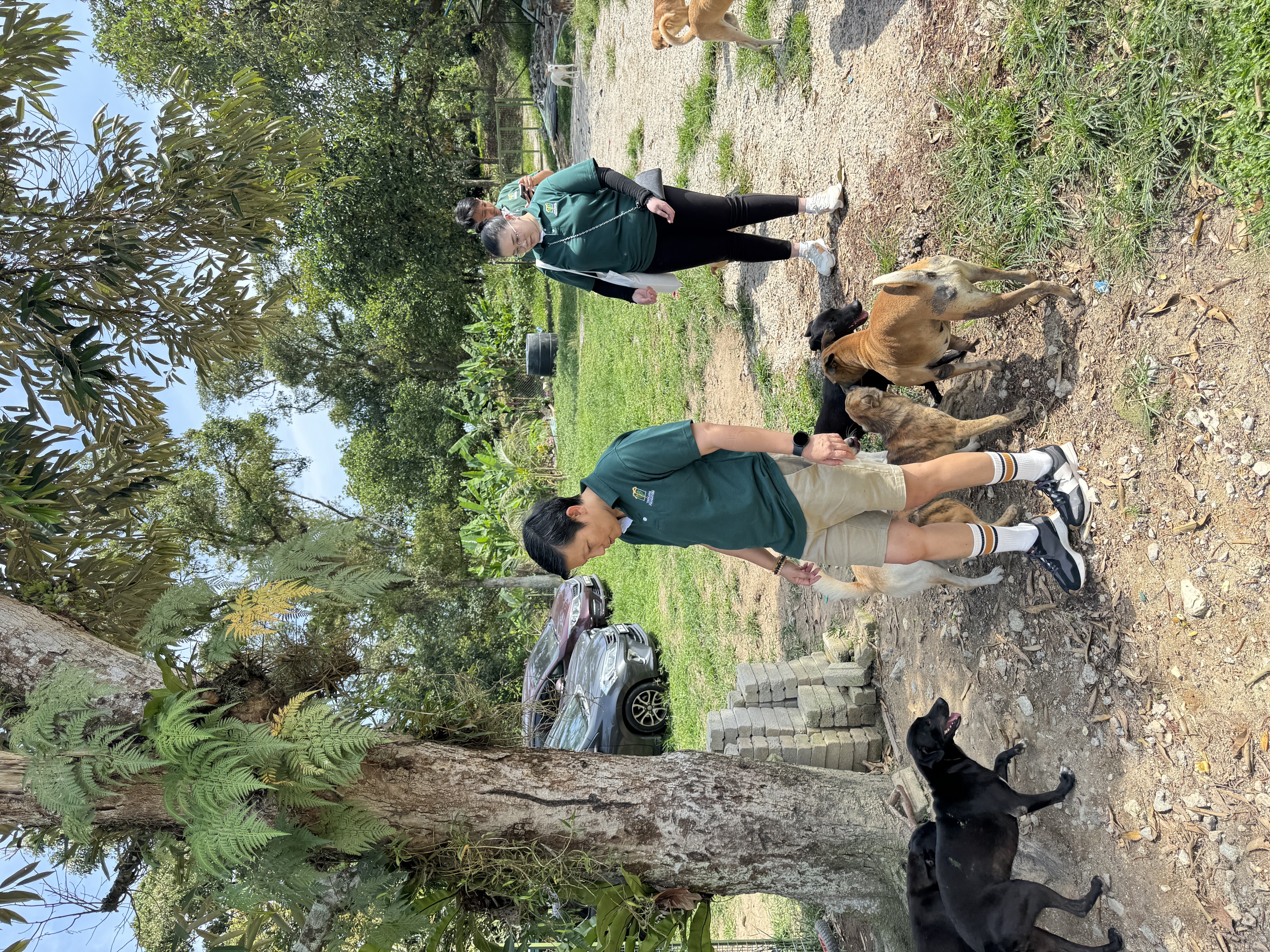 Tropicana Furry Friends 2025